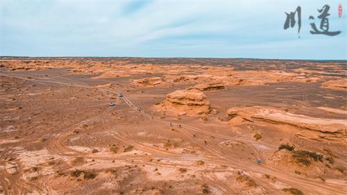 20231003-dji_0041.jpg