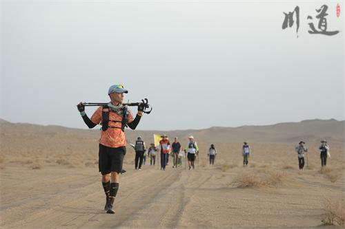 lhb_3610.jpg